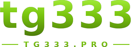 tg333 logo